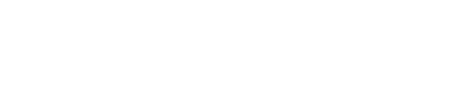 English Version
