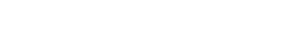 Chinese Version